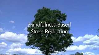 Introduction to the MBSR course UMass Medical School Center for Mindfulness [upl. by Oijimer]