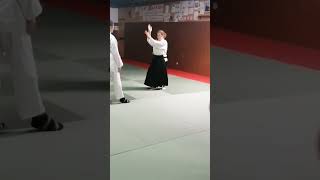 Cerdanya aïkido DOJO DESTAVAR ballaretbougerradiowebco aikido66com [upl. by Katerina]