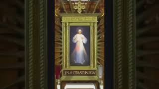 Saint Faustina Diary 219 inspiration saintfaustina catholic christian christianity god love [upl. by Leissam]