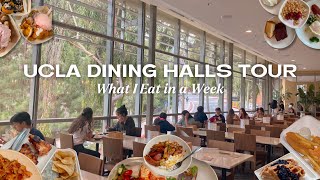 UCLA Dining Hall Tours What a UCLA Student Eats in a Week [upl. by Yrian71]