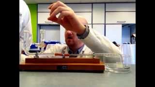 How to set up a potometer by Simon and Lynn from the NSLC First try laurel poisonous dont eat [upl. by Oicnecserc]