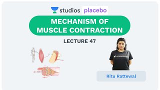 Phoenix 20 Biology Most Important Video for NEET 2025  Udaan [upl. by Gault]