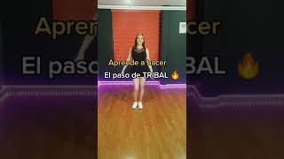 COMO BAILAR TRIBAL  FACILITO 🔥✔️ [upl. by Vasilek992]