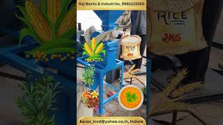 Cattle Feed Grinder Machine  Grinder Machine  Pashu Aahar Making Machine [upl. by Yrohcaz376]