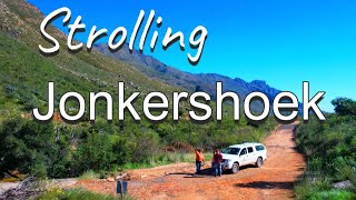 Hiking in Cape Town these are its most beautiful mountain trails Jonkershoek Nature Reserve [upl. by Odla696]