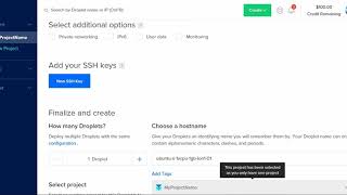 New Digital Ocean server droplet setup instructions and sharing with your team [upl. by Namialus]