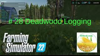 Seeding Grass   28 Deadwood Logging  Farming Simulator 22 farmingsimulator22 [upl. by Shellans]