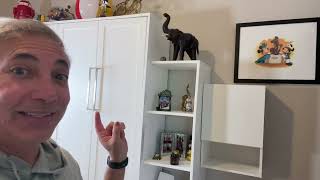 Hanging Cabinet with Door Review amp Unboxing 4K [upl. by Farrel]