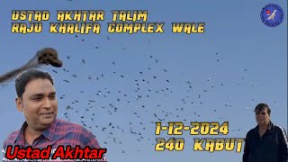 Ustad Akhtar talim Khalifa Raju urban kabootarbazi pigeon [upl. by Lednyc]