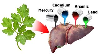 The Best Strategy for Detoxifying Heavy Metals SAFELY [upl. by John]