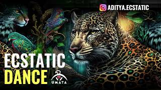 Jungle Medicine ⚡ Shamanic Journey Ecstatic Dance by Dj Aditya [upl. by Flodnar]