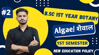 शैवाल bsc 1st year botany chapter 1 algae  botany bsc 1st year  botany 1st semester classes 2024 [upl. by Aissert]