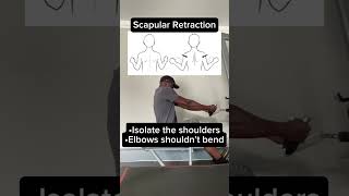 Scapular Retraction [upl. by Esilenna]