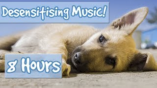 Desensitising Dog Music Music with Sound Effects to Desensitise Dogs to Noises Reduce Anxiety🐶💤 [upl. by Fania]