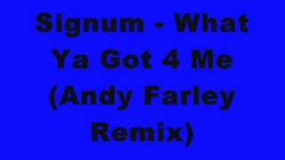 Signum  What Ya Got 4 Me Andy Farley Remix [upl. by Ahsena]