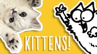 Kittens Being Cute  Simons Cat Snaps  FAN VIDEOS [upl. by Law]