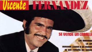 Vicente Fernandez De Que Tamaño Me Quieres [upl. by Okimat]