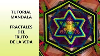 Mandala Fractales del Fruto de la Vida [upl. by Sisak]