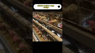 Chicken Layer Cage Design Philippines，Chicken House Egg Production RETECH Farming [upl. by Atinoj914]