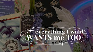 quoteverything I want wants me tooquot blockage remover amp mindset booster subliminal calm 432Hz [upl. by Damalas]