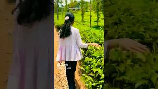 wayanad trip like subscribe vaigas beauty vlog [upl. by Durer]