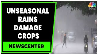 Unseasonal Rains Damage Crops Production To See Sharp Decline  Weather Update  News Centre [upl. by Alarise]