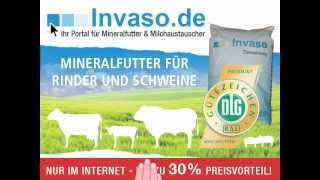 wwwinvasode  Ihr Portal für Mineralfutter und Milchaustauscher [upl. by Eliza]