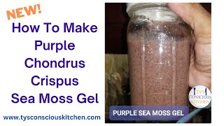 How To Make Purple Chondrus Crispus Sea Moss Gel Tutorial Dr Sebi Recommended [upl. by Chambers86]