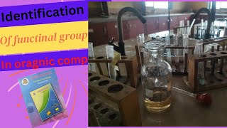 Identification of functional group 12th chemistry practical 12thchemistry lab a2zpractical991 [upl. by Dredi42]