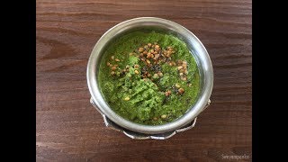 chakramuni soppina chutney  ಚಕ್ರಮುನಿ ಸೊಪ್ಪಿನ ಚಟ್ನಿ । vitamin leaves chutney  Healthy chutney [upl. by Stoll]