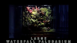 LARGE WATERFALL PALUDARIUM [upl. by Lael723]