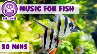 Music for Fish Fish Tank MusicWe Love Pet Fish Fish Therapy Aquarium Relax Help My Fish [upl. by Davies]