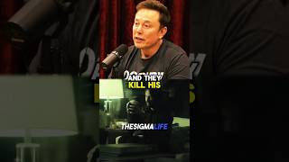 Rogan and Musk on Why John Wick is the Best Movie [upl. by Godewyn]