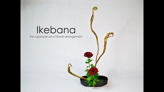 Ikebana Howto the Taterukatachi stepbystep [upl. by Corby]