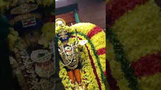 saidapet karaneswarar temple soorasamhaamaram urchavam 2024 alangaram song [upl. by Lleira]