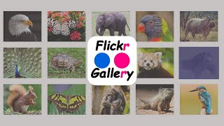 Flickr Album Gallery Pro Premium WordPress Plugin  How to Install Flickr Album Gallery in WordPress [upl. by Ellahcim]