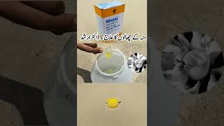 Antifungal Treatment in Birds  Nilstat for Poultry Birds  Dr ARSHAD [upl. by Elsey]