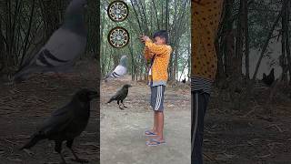 WOW Parrot VS Crow VS Peacock in EPIC VFX Battle shorts viralvideo youtubeshorts vfxshorts [upl. by Benedicta]