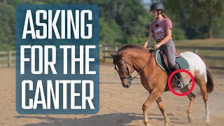 How To Ask For The Canter EASY STEPBYSTEP GUIDE [upl. by Pride578]