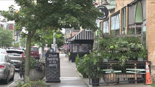 Preview of Elmwood Village Art Festival [upl. by Timon]