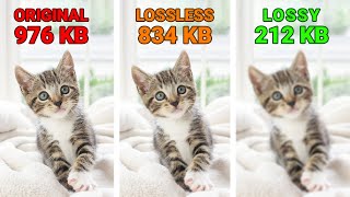 What Is the Difference in Lossy vs Lossless Compression [upl. by Whitson602]