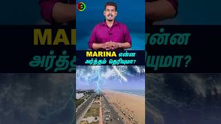 quotWhat Bro  Very Wrong Broquot  Seeman Speech about TVK Vijay  Maanadu  Sun News [upl. by Golding]