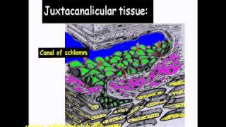 Gonioscopy Lecture part1 [upl. by Finny]