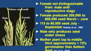 Palmer Biology  Germination Growth and Reproduction [upl. by Omura]