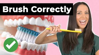 How To Brush Your Teeth Correctly [upl. by Inwat]