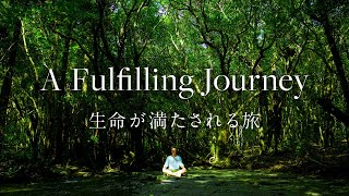 屋久島  Yakushima A Fulfilling Journey  生命が満たされる旅 Documentary 4K [upl. by Eelsel]