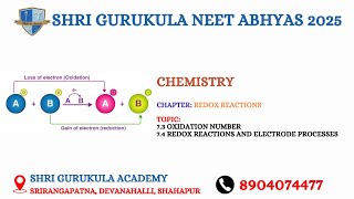 Day  30 in Chemistry Chapter REDOX REACTIONS [upl. by Eolc]