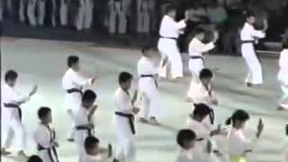 Okinawan Karate and Kobudo Festival 1990 [upl. by Panta]