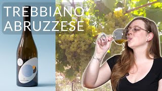 TREBBIANO ABRUZZESE An Uncommon White Wine Grape to Get to Know [upl. by Ianej3]