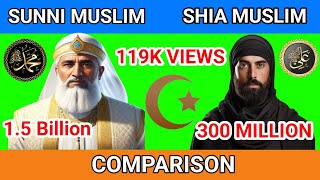 Sunni Islam vs Shia Islam  Sects Comparison shia sunni [upl. by Geaghan]